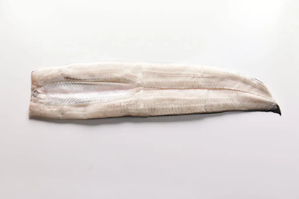 生鰻魚 450g